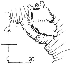 Burg Randeck Grundriss Grundriss